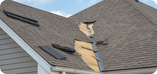 Damaged roof shingles